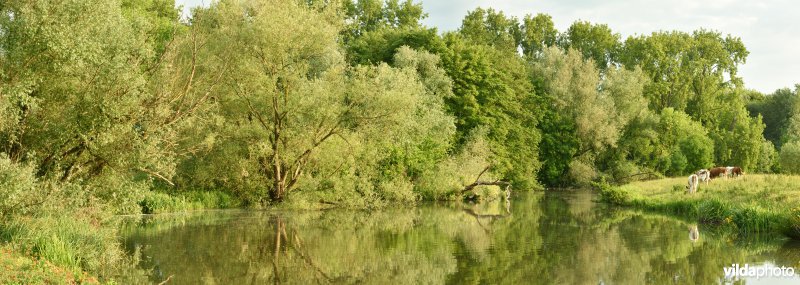 Natuurreservaat Bourgoyen