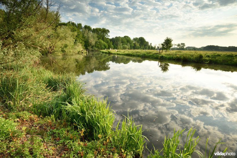 Natuurreservaat Bourgoyen