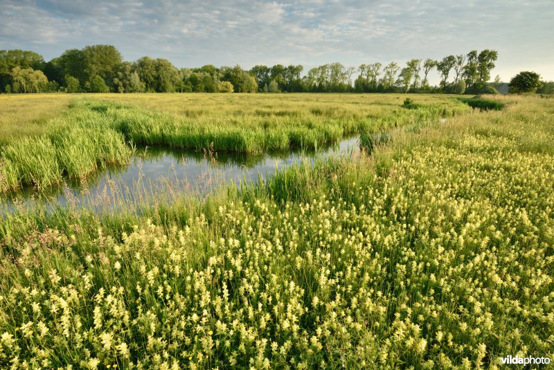 Natuurreservaat Bourgoyen