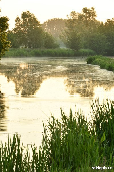 Natuurreservaat Bourgoyen