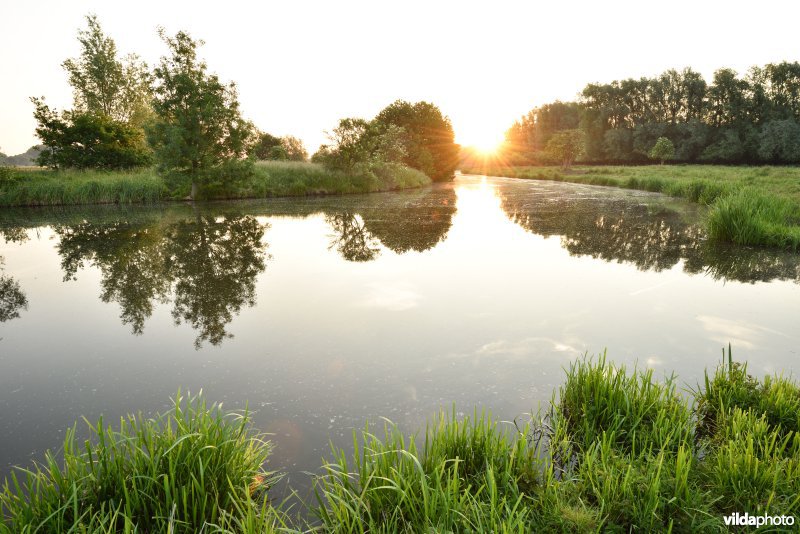 Natuurreservaat Bourgoyen