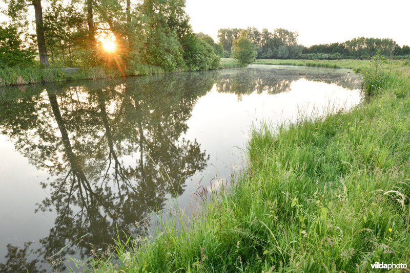 Natuurreservaat Bourgoyen