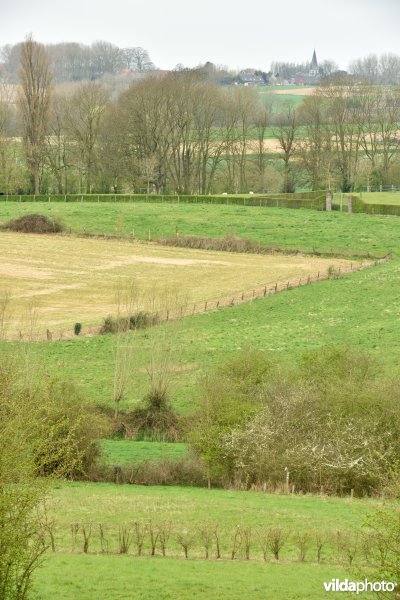 Parkbos-Uilenbroek