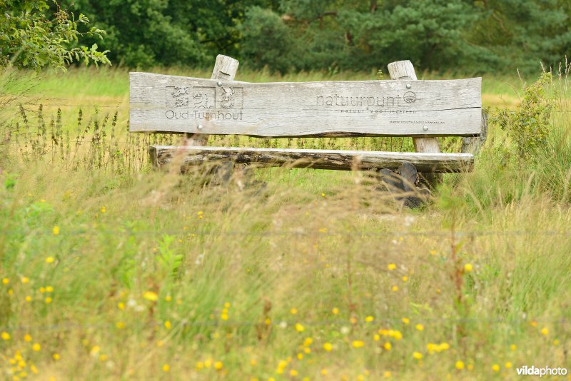 Natuurreservaat De Liereman