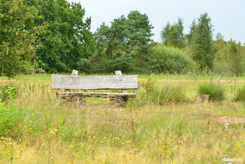 Natuurreservaat De Liereman