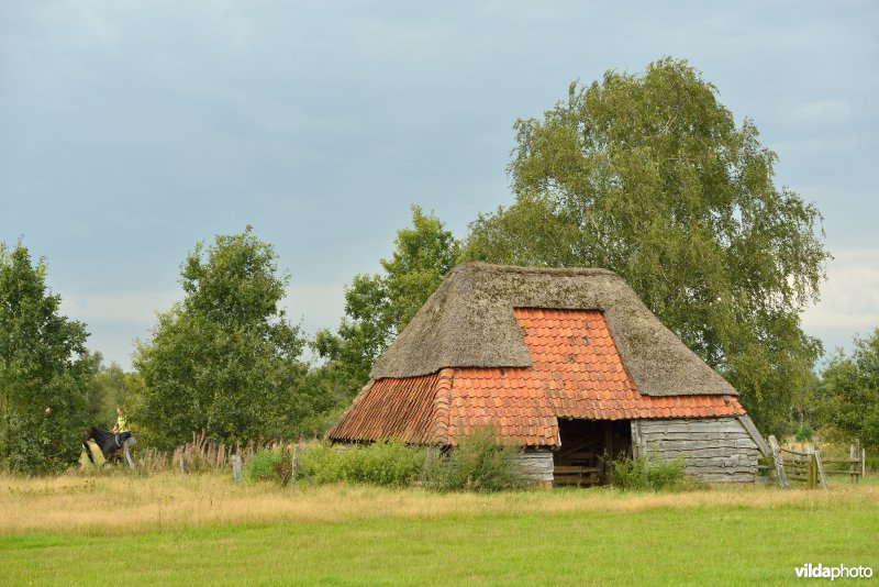 Kempense stal in natuurreservaat De Liereman