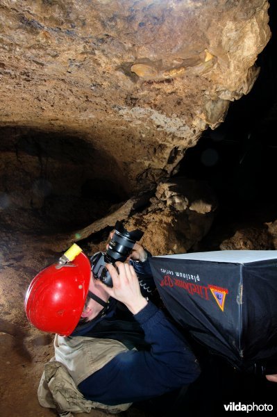 Grotten-beestjes fotograferen