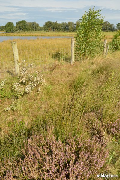 Natuurreservaat De Liereman