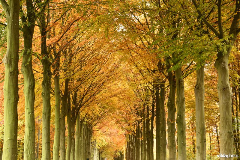 Vallei van de Hoyoux