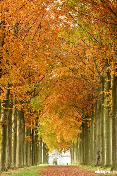 Vallei van de Hoyoux