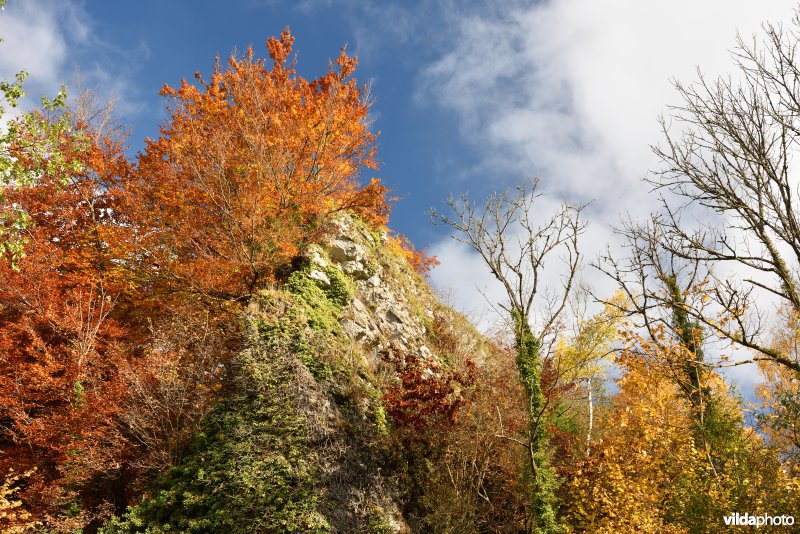 Vallei van de Hoyoux