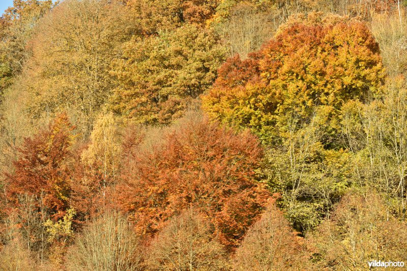 Vallei van de Hoyoux