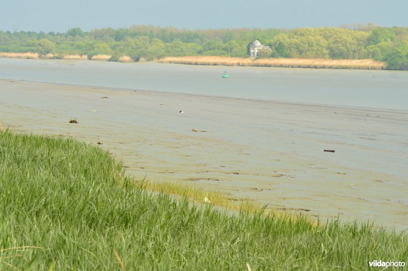 Scheldeschorren Schouselbroek