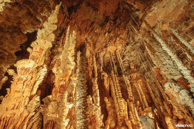 Aven Armand, Cevennen, Frankrijk