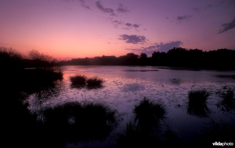 La Brenne bij schemering
