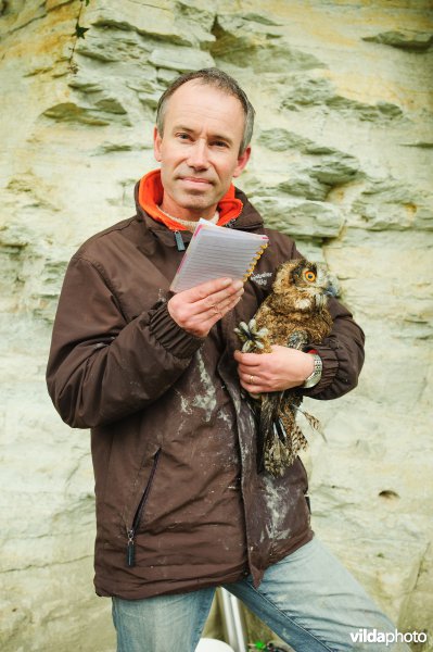 Onderzoeker Gejo Wassink neemt biometrische gegevens op van een jonge Oehoe welke wordt uitgerust met een gps zender