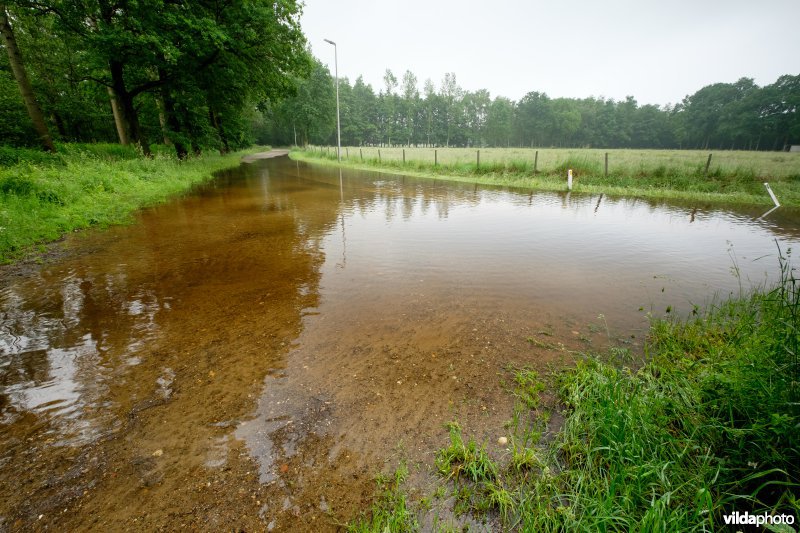 Overstroomde weg