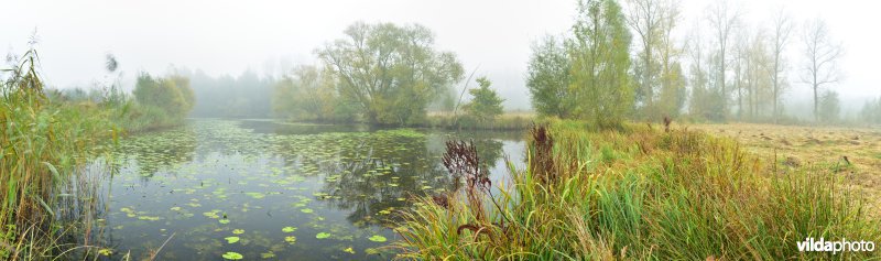 KBR polder: Bazelse kreek