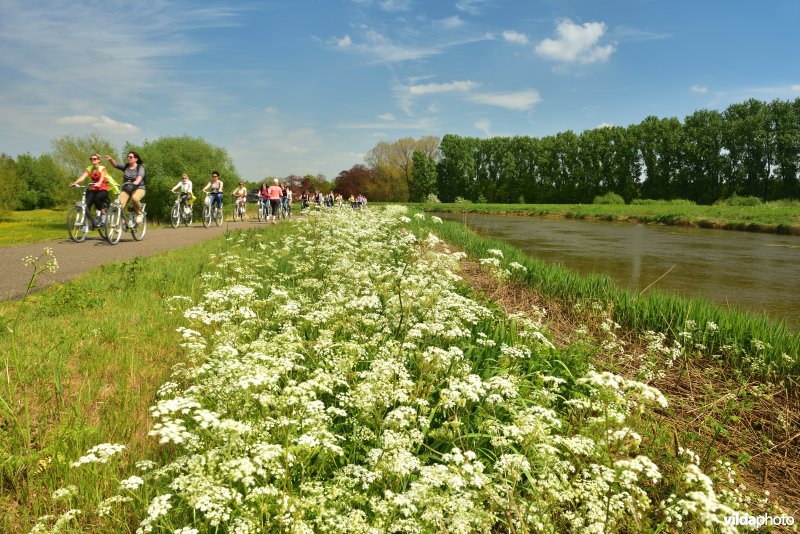 Fietsen langs de Kleine Nete