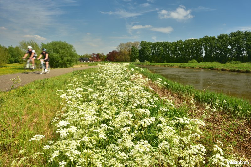 Fietsen langs de Kleine Nete