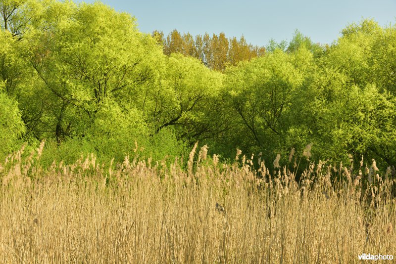 Durme in Elversele