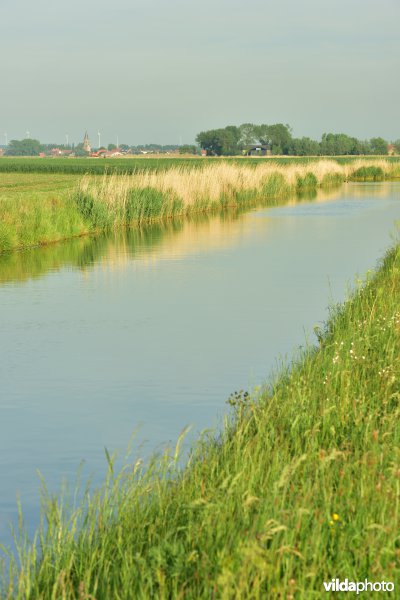 Blankenbergse vaart
