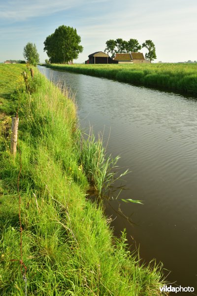 Blankenbergse vaart