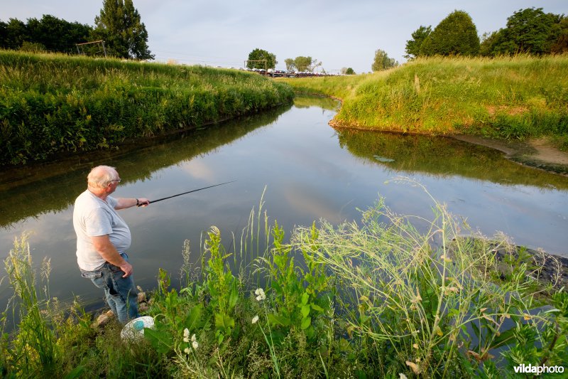 Demer aan de inlaatsluis van het Schulensmeer