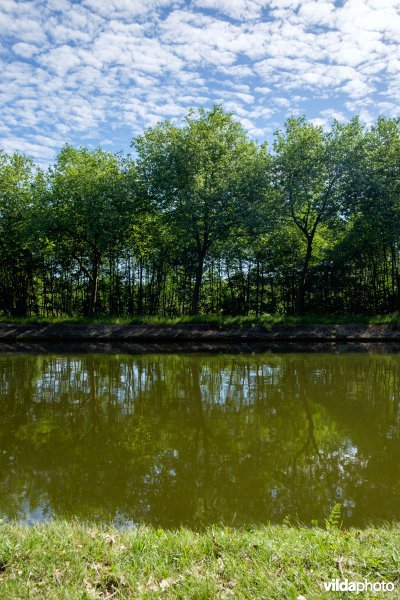 Kanaal Bocholt-Herentals in Limburg