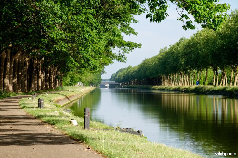 Kanaal Bocholt-Herentals in Limburg