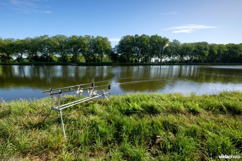 Kanaal Bocholt-Herentals in Limburg