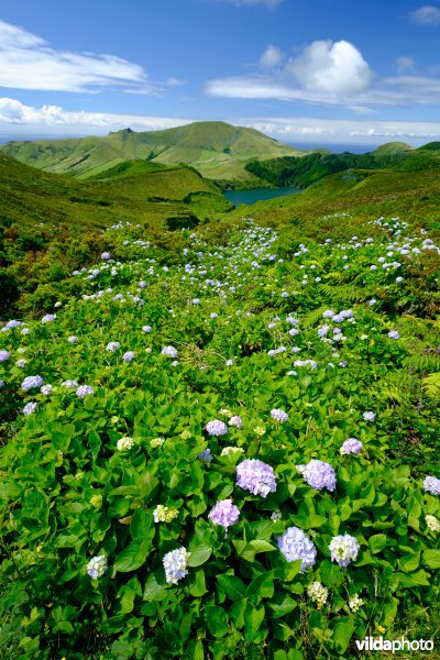 Natuurgebied op Flores