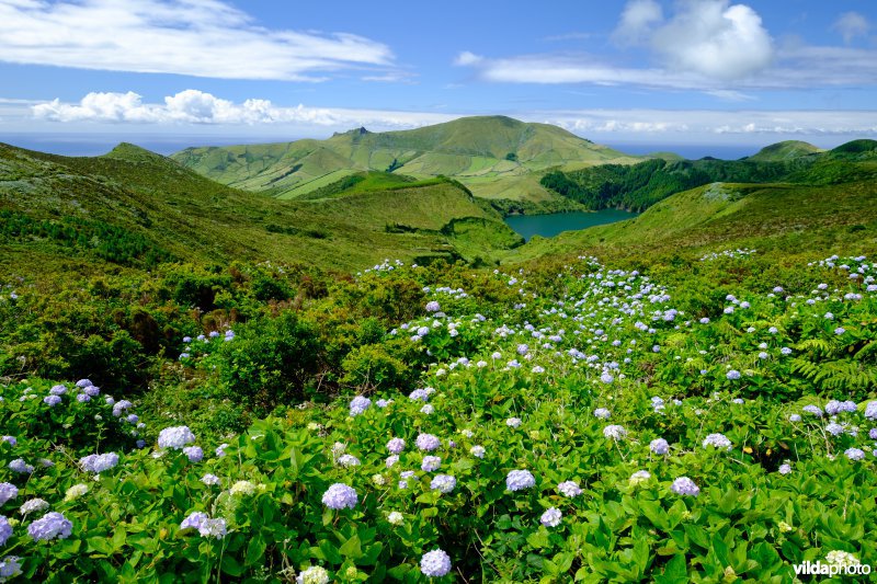 Natuurgebied op Flores