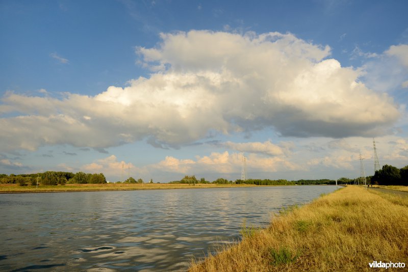 Zeekanaal Brussel-Schelde, Wintam