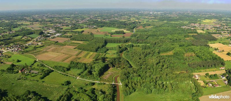 Liniebrug en Herenbossen 