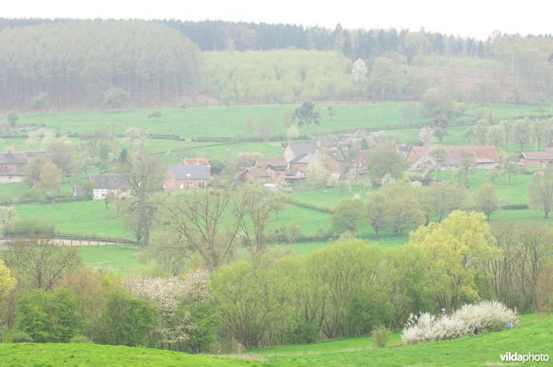 Bosreservaat Veursbos