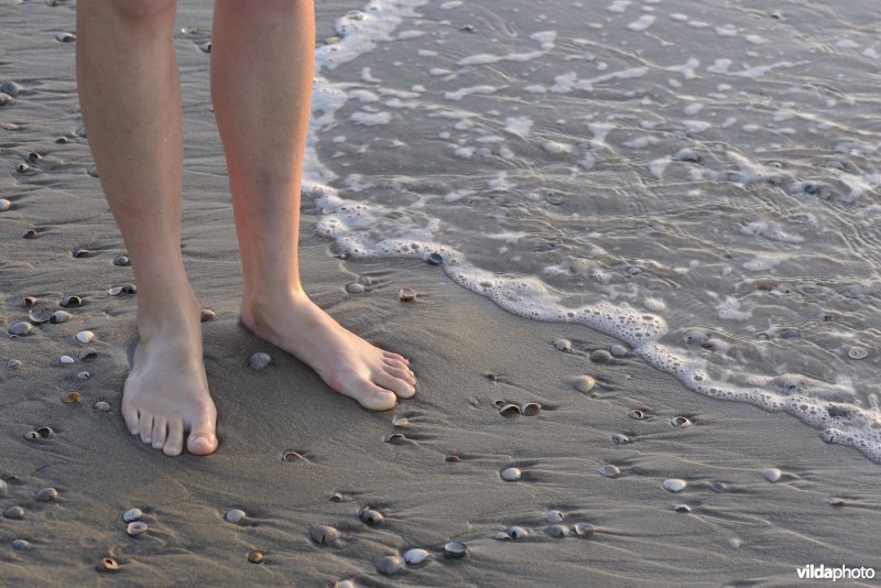 Pootjebaden op het strand
