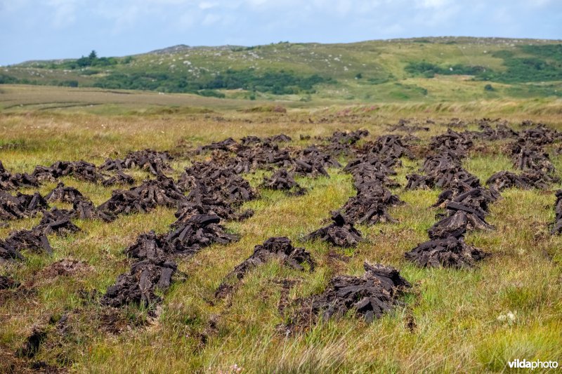 Veenwinning in Ierland