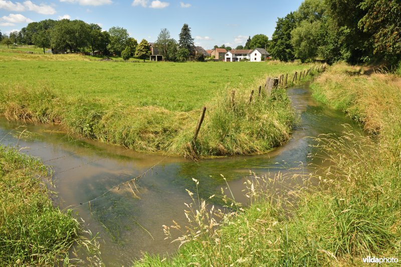 De Voer in Schophem