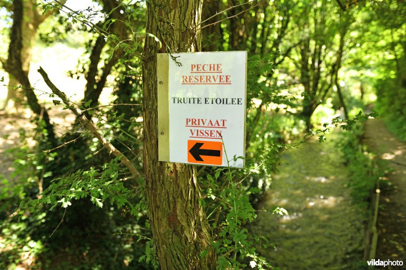 De Voer in Schophem