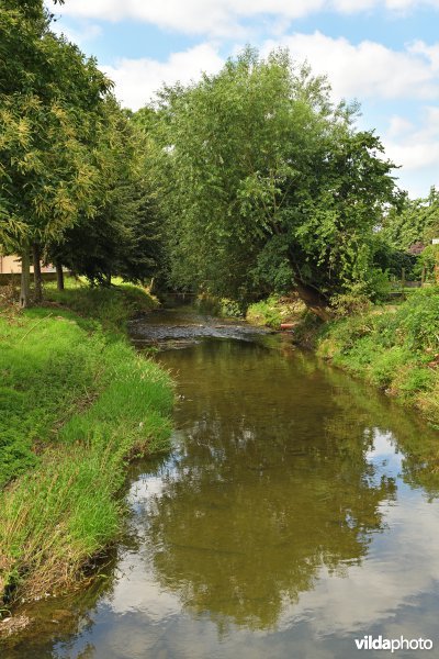 Rivier Berwijn