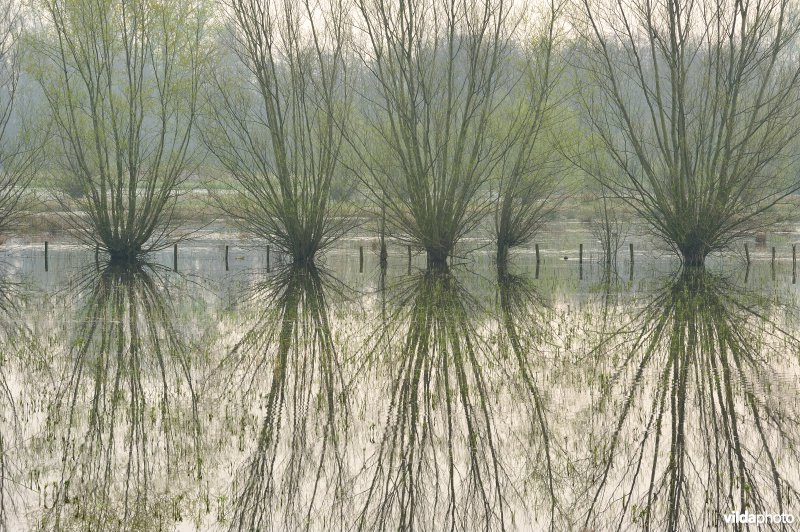 Potpolder Tielrodebroek