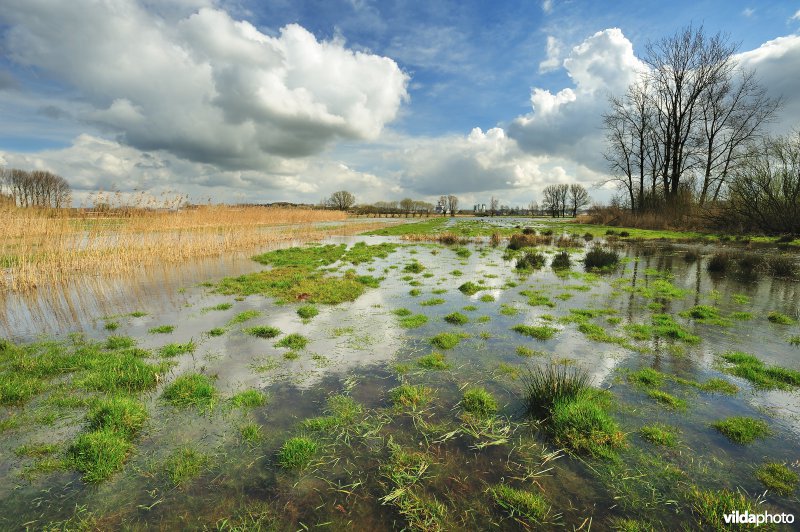 Langemeersen