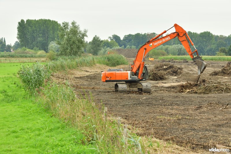 Oude Schelde in de Kalkense meersen