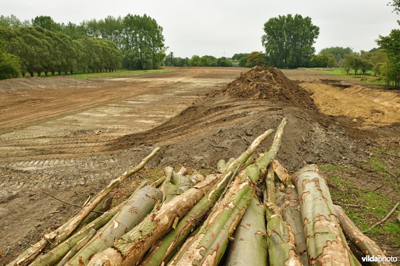 Rooiwerken in de Vlassenbroekse polders