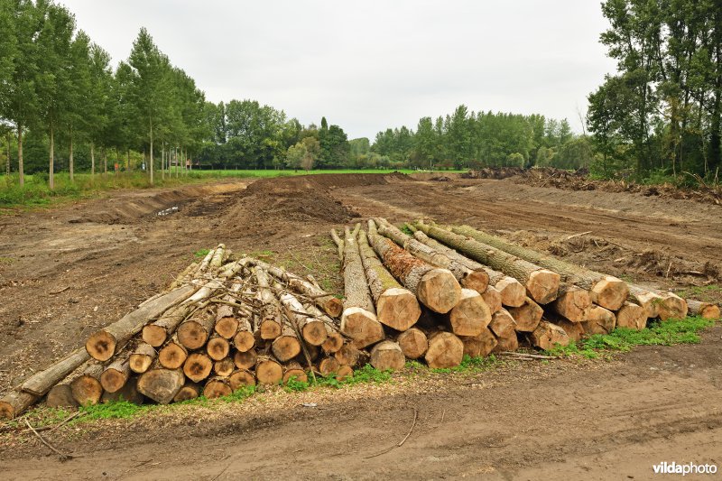 Rooiwerken in de Vlassenbroekse polders