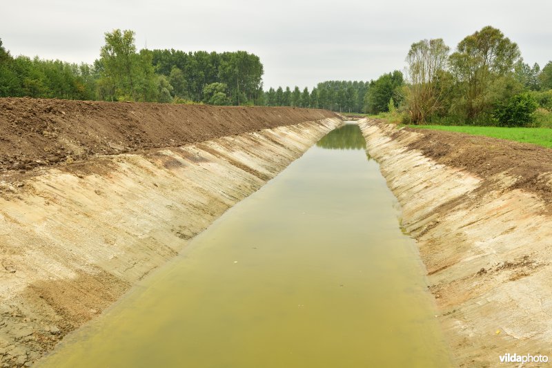 Vlassenbroekse polder