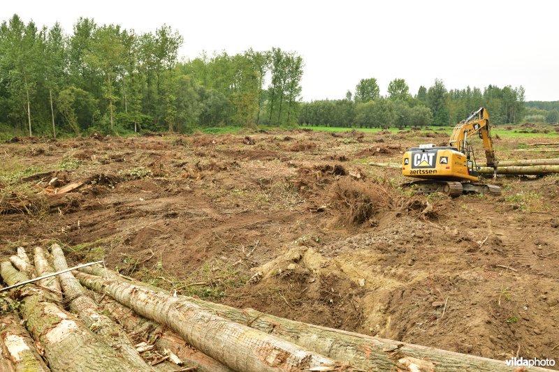 Rooiwerken in de Vlassenbroekse polders