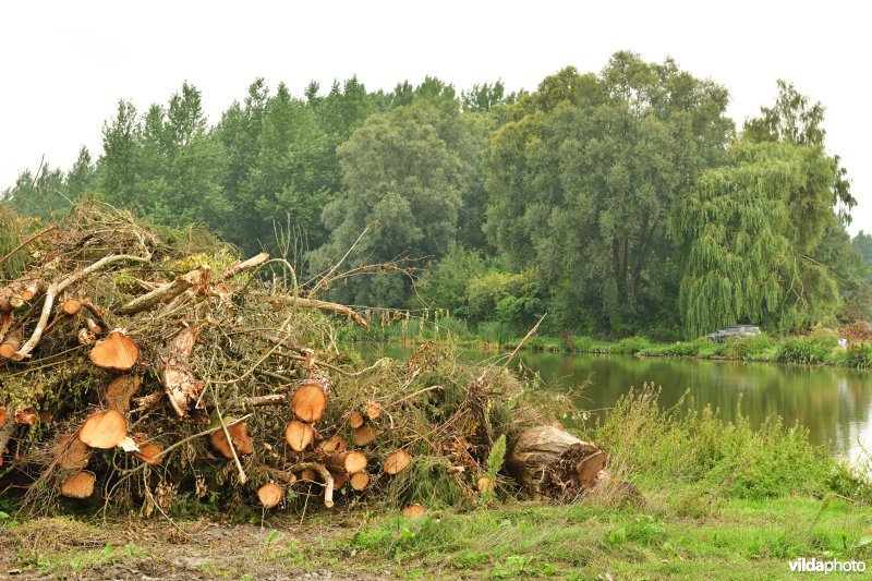 Rooiwerken in de Vlassenbroekse polders