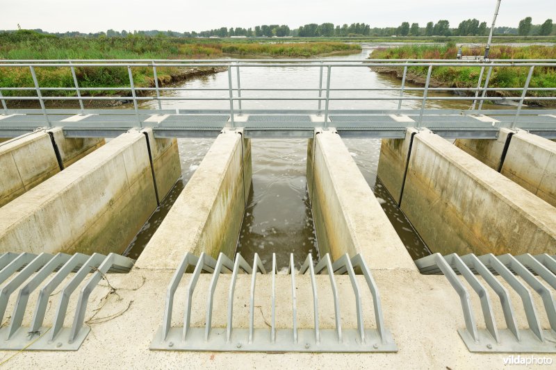Zennegat